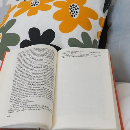 Le Funny, Centre Apartment Mülhausen